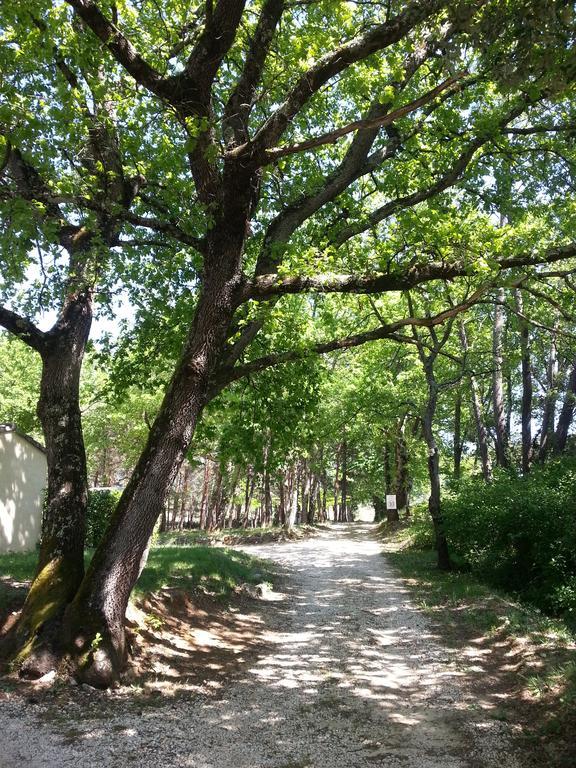 Camping Parc Saint Sauvayre Vagnas Exterior foto